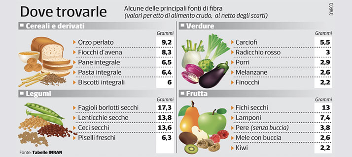 fibre1