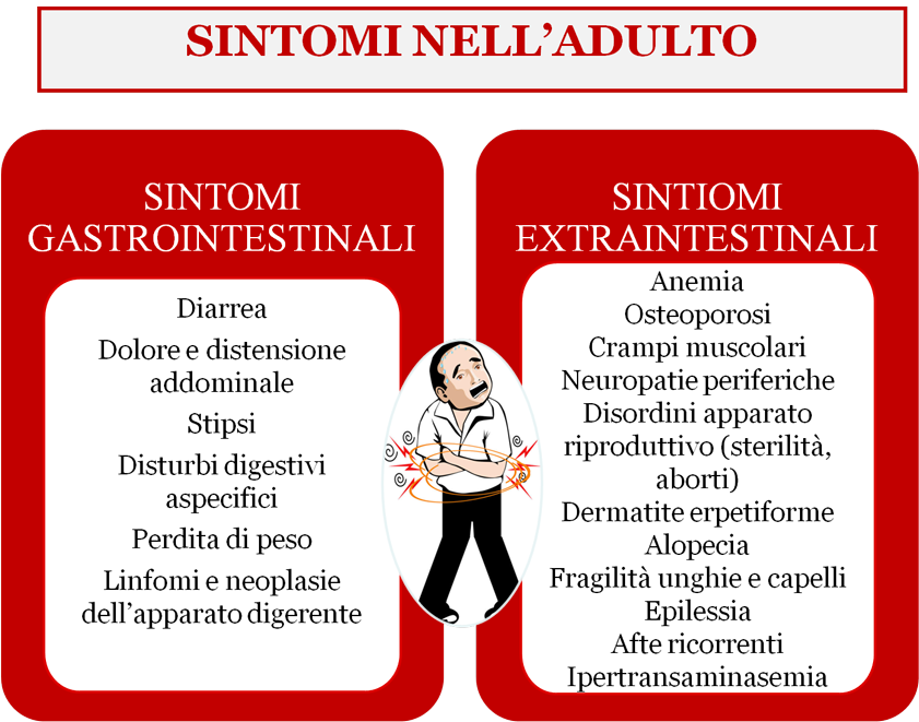 Sintomi celiachia adulti